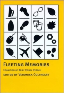 Fleeting Memories : Cognition of Brief Visual Stimuli