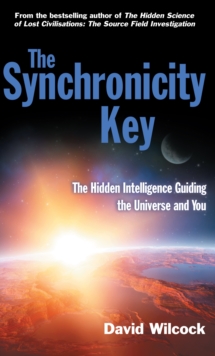 The Synchronicity Key : The Hidden Intelligence Guiding the Universe and You