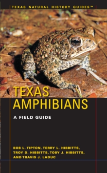 Texas Amphibians : A Field Guide