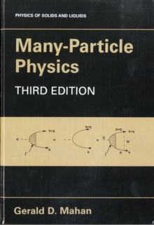 Many-particle Physics