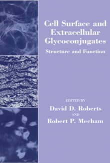 Cell Surface and Extracellular Glycoconjugates : Structure and Function