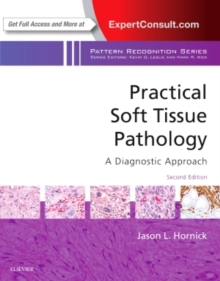 Practical Soft Tissue Pathology: A Diagnostic Approach : A Volume in the Pattern Recognition Series