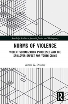 Norms of Violence : Violent Socialization Processes and the Spillover Effect for Youth Crime