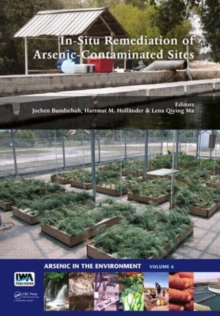 In-Situ Remediation of Arsenic-Contaminated Sites