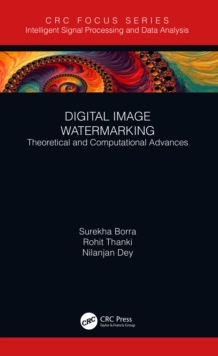 Digital Image Watermarking : Theoretical and Computational Advances