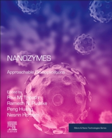 Nanozymes : Approachable Bio-applications