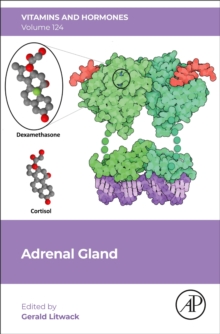 Adrenal Gland : Volume 124