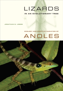 Lizards in an Evolutionary Tree : Ecology and Adaptive Radiation of Anoles