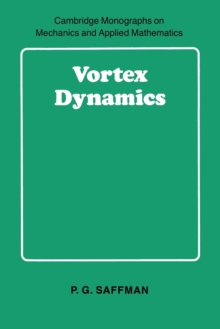 Vortex Dynamics