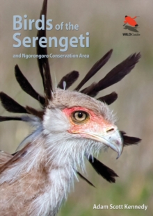Birds of the Serengeti : And Ngorongoro Conservation Area