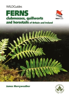 Ferns : Clubmosses, Quillworts and Horsetails of Britain and Ireland
