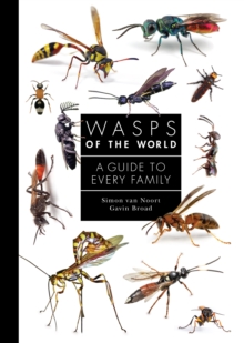 Wasps of the World : A Guide to Every Family