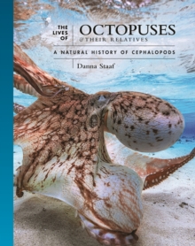 The Lives of Octopuses and Their Relatives : A Natural History of Cephalopods