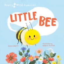 Little Bee : A Day in the Life of the Bee Brood