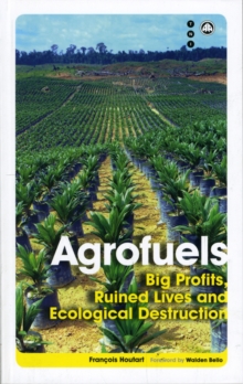 Agrofuels : Big Profits, Ruined Lives and Ecological Destruction