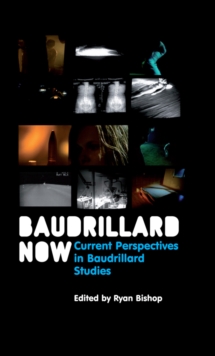 Baudrillard Now : Current Perspectives in Baudrillard Studies