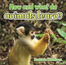 How and What Do Animals Learn