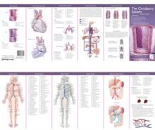 Anatomical Chart Company's Illustrated Pocket Anatomy: The Circulatory System Study Guide