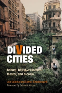 Divided Cities : Belfast, Beirut, Jerusalem, Mostar, and Nicosia