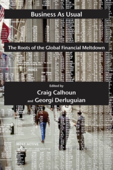 Business as Usual : The Roots of the Global Financial Meltdown
