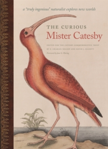 The Curious Mister Catesby : A 