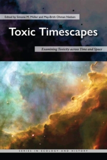 Toxic Timescapes : Examining Toxicity across Time and Space