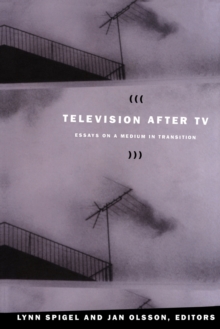 Television after TV : Essays on a Medium in Transition
