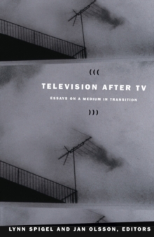 Television after TV : Essays on a Medium in Transition