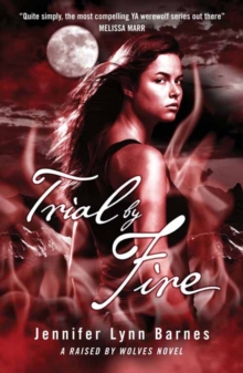 Trial by Fire : Book 2