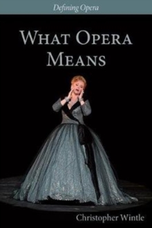 What Opera Means : Categories and Case-studies