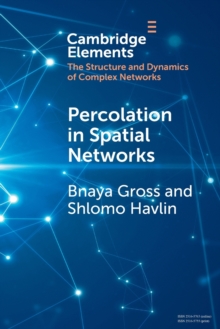Percolation in Spatial Networks : Spatial Network Models Beyond Nearest Neighbours Structures