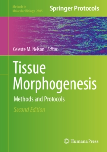 Tissue Morphogenesis : Methods and Protocols