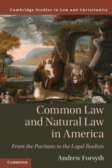 Common Law and Natural Law in America : From the Puritans to the Legal Realists