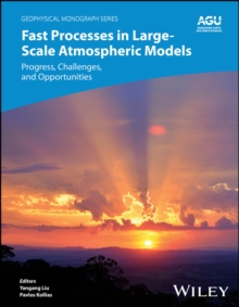 Fast Processes in Large-Scale Atmospheric Models : Progress, Challenges, and Opportunities