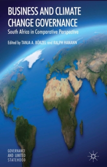 Business and Climate Change Governance : South Africa in Comparative Perspective