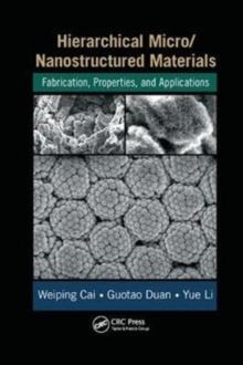 Hierarchical Micro/Nanostructured Materials : Fabrication, Properties, and Applications