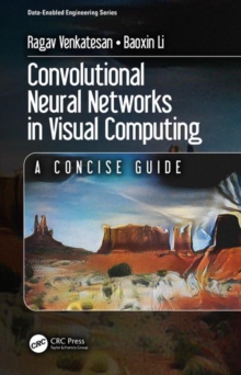 Convolutional Neural Networks in Visual Computing : A Concise Guide