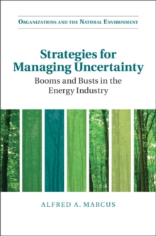 Strategies for Managing Uncertainty : Booms and Busts in the Energy Industry