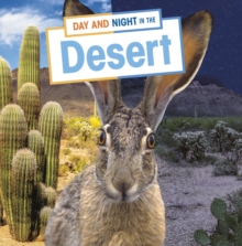 Day and Night in the Desert