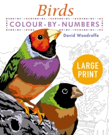 Large Print Colour by Numbers Birds : Easy-to-Read