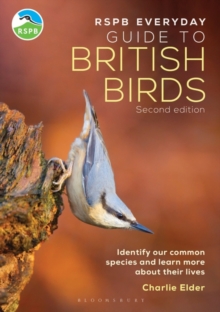 The RSPB Everyday Guide to British Birds : Identify our common species and learn more about their lives