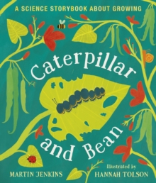 Caterpillar and Bean : A Science Storybook about Growing