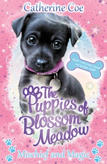 Mischief and Magic (Puppies of Blossom Meadow #2)