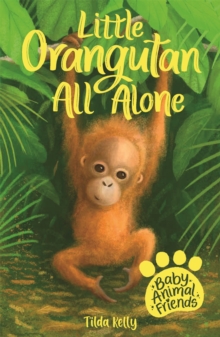 Baby Animal Friends: Little Orangutan All Alone : Book 3