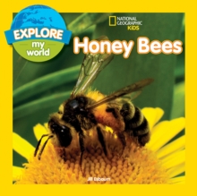 Explore My World: Honey Bees