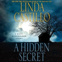 A Hidden Secret : A Kate Burkholder Short Story