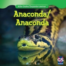 Anaconda / Anaconda