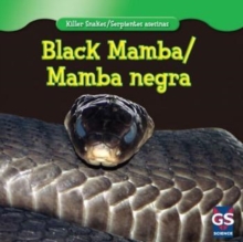 Black Mamba / Mamba negra