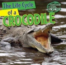 The Life Cycle of a Crocodile