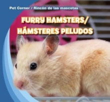 Furry Hamsters / Hamsteres peludos